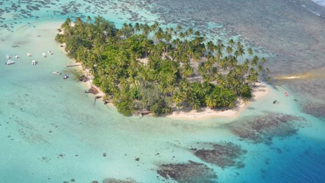 Pension Hibiscus Tahaa Uturoa Extérieur photo